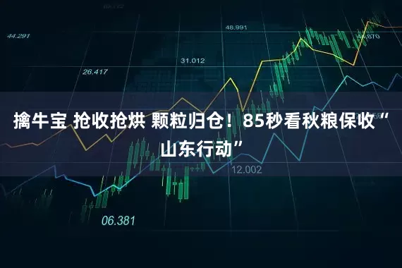 擒牛宝 抢收抢烘 颗粒归仓！85秒看秋粮保收“山东行动”
